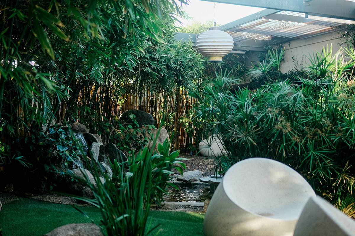 The planted courtyard at the Proctorio office