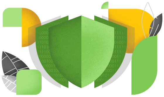 A shield in front of another shield layer, this one overlaid in binary