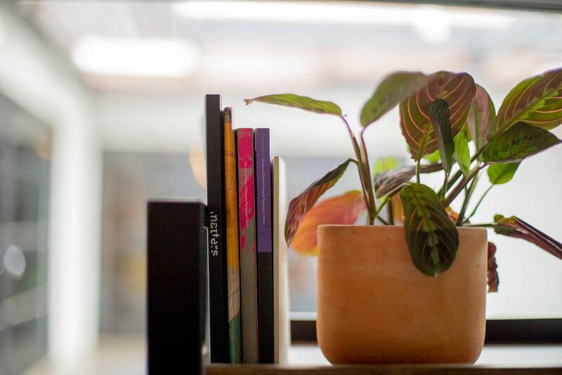 A potted plant next to a small collection of books