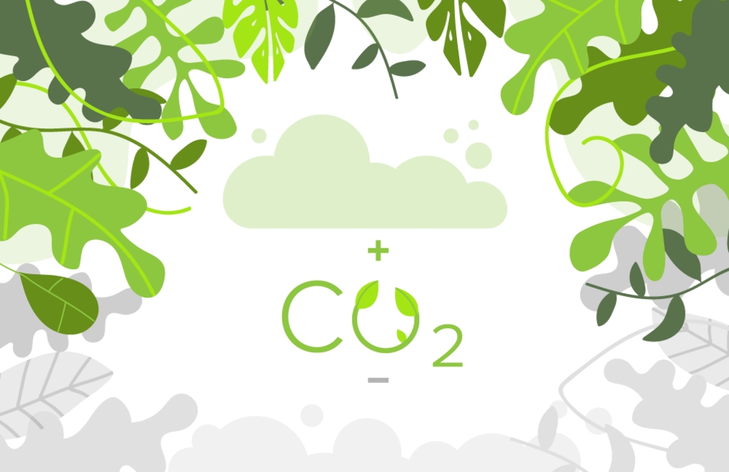 A group of bright green leaves surround a puffy cloud and the green leafy symbol for carbon dioxide.